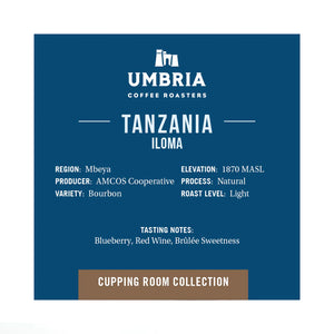 Cupping Room Collection - Tanzania Iloma