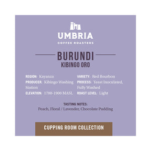 Cupping Room Collection - Burundi Kibingo Oro